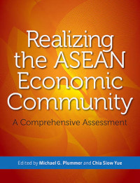 Image of Realizing the ASEAN economic community